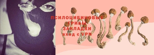 таблы Ельня