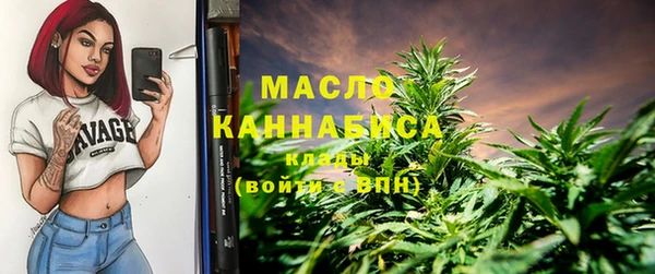 таблы Ельня