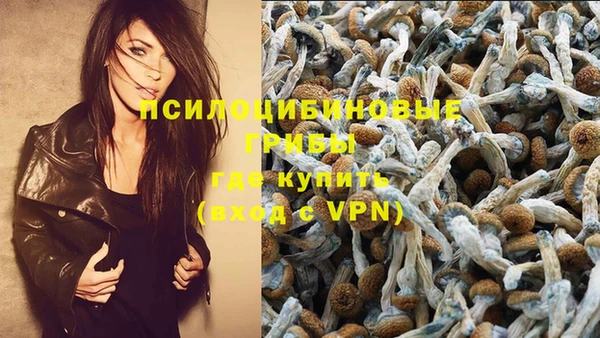 таблы Ельня