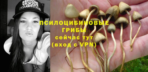 таблы Ельня