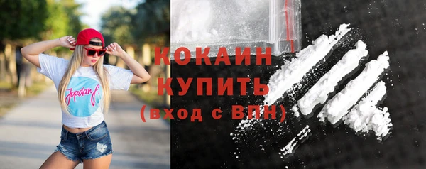 гашик Надым