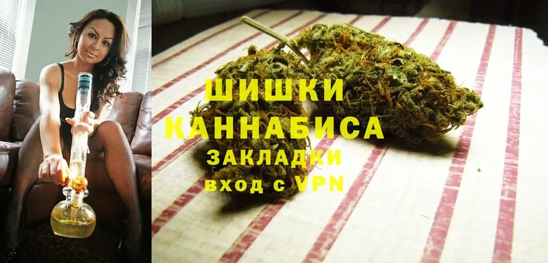 Конопля OG Kush  Заречный 