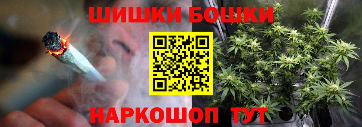 Каннабис сатива  Вход с VPN  Канабис планчик  Марихуана ГИДРОПОН  Заречный 